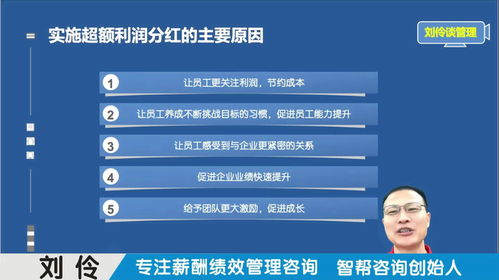 薪酬績(jī)效管理咨詢公司 第3集 股權(quán)激勵(lì)之超額利潤(rùn)分紅